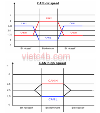 Trạng thái dominant và recessive